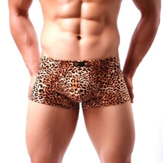 Leopard Print Boxers